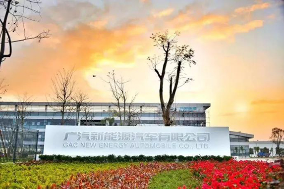 1577236020185594.jpg 2.jpg